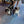Load image into Gallery viewer, Dog Hats