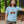 Load image into Gallery viewer, Maine T-shirt
