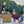 Load image into Gallery viewer, Pumpkinhead Zipper Cooler
