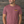 Load image into Gallery viewer, Barney Lobster Tee
