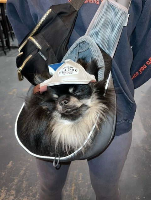 Dog Hats